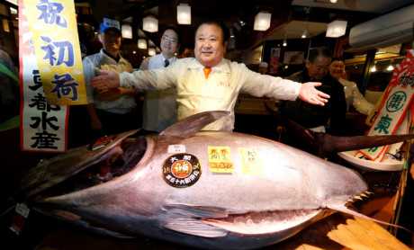 "Vua cá ngừ" gây sốc khi chi hơn 14 tỷ đồng mua 1 con cá ngừ
