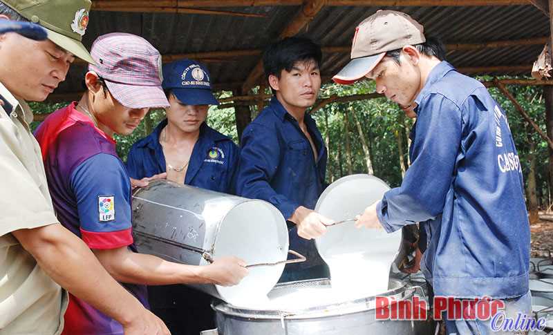 Từ 1 đến 31-5 hằng năm là Tháng hành động về an toàn, vệ sinh lao động