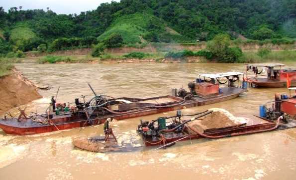 Cần triệt tận gốc