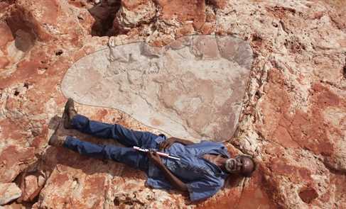 Phát hiện dấu chân khủng long lớn chưa từng thấy