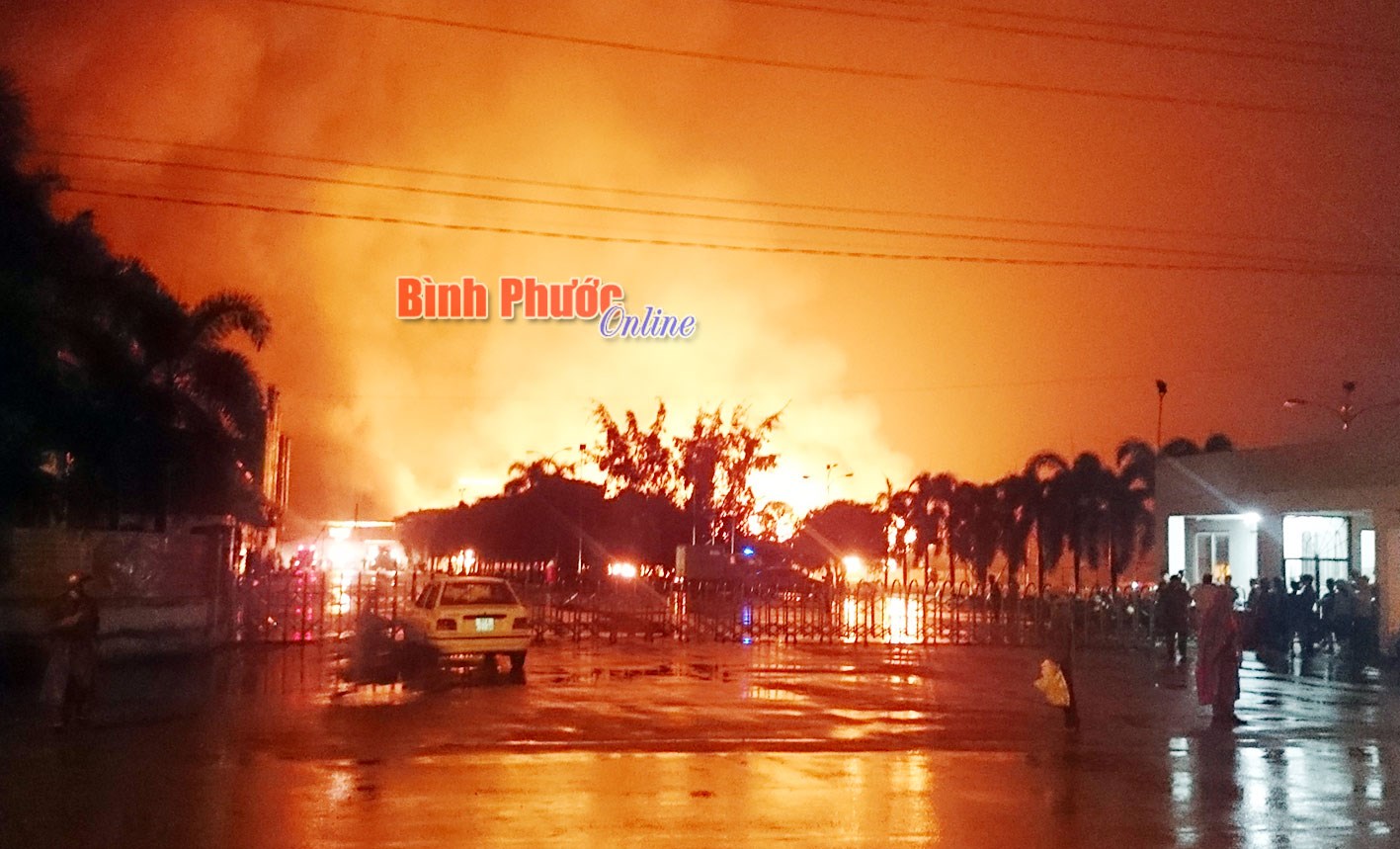 Làm gì để loại trừ hỏa hoạn?