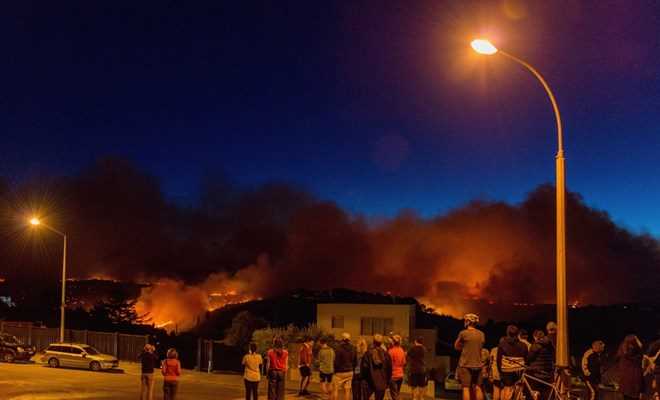 Cháy rừng dữ dội ở New Zealand, hơn 1.000 người sơ tán khẩn cấp