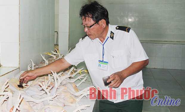 Liên kết sản xuất chăn nuôi - Xu hướng tất yếu thời hội nhập