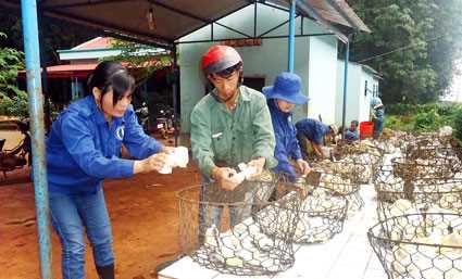 Công ty cao su Lộc Ninh: Thưởng 1,5 triệu đồng cho công nhân cạo mủ 3 ngày tết