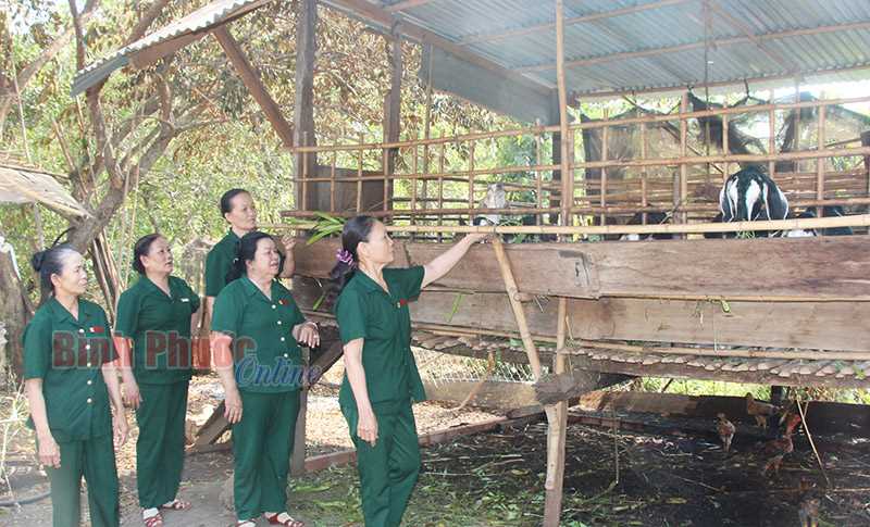 Cựu TNXP nâng cao đời sống hội viên