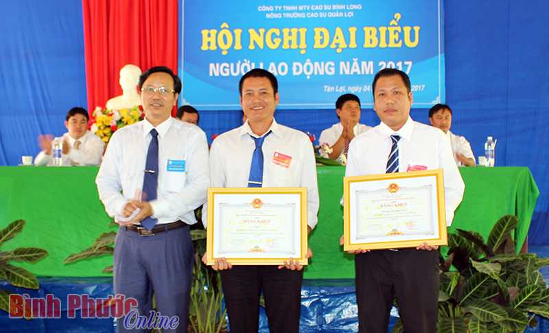 Nông trường Quản Lợi 11 năm liên tục đạt năng suất trên 2 tấn/ha