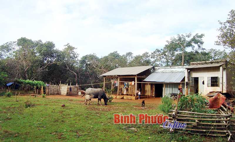 Đắk Ơ vẫn “nóng” tình trạng cầm cố, sang nhượng đất