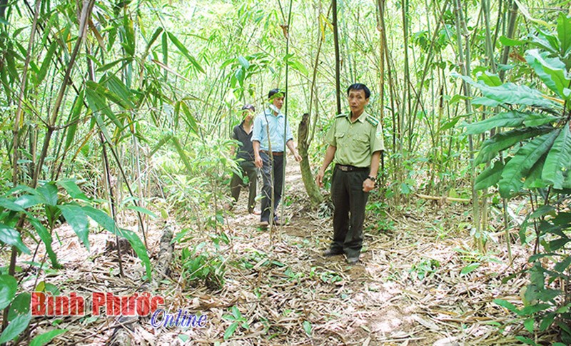 B&ugrave; Đốp l&agrave;m tốt bảo vệ v&agrave; ph&aacute;t triển rừng