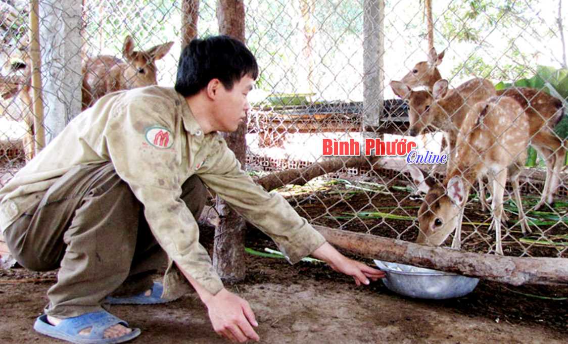 Hội viên nông dân giúp nhau trên 4,34 tỷ đồng phát triển sản xuất