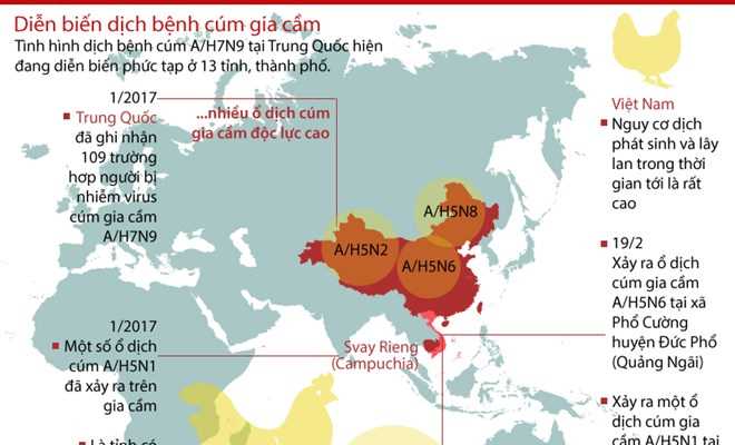 Dịch cúm gia cầm đang diễn biến phức tạp