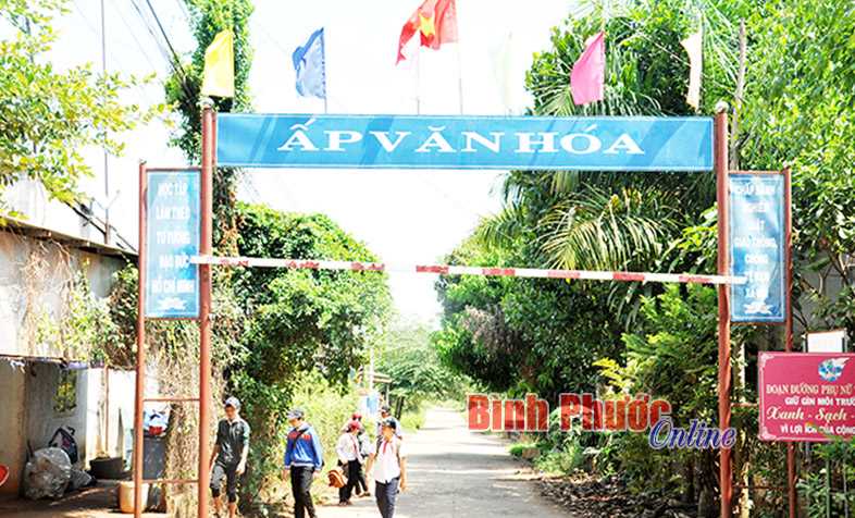 Tân Lợi phấn đấu về đích nông thôn mới năm 2017