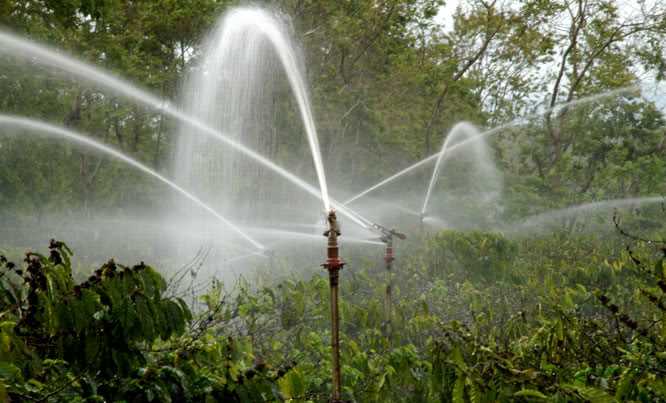 Hỗ trợ hệ thống tưới nhỏ giọt cho HTX điều, tiêu bằng nhau