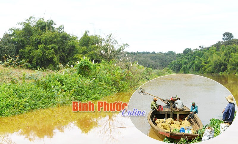Vẻ đẹp trên dòng Lấp
