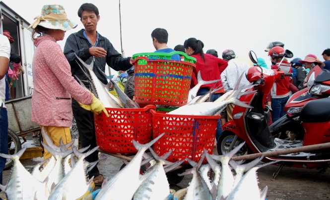 Giây phút ngư dân chạm mặt mẻ cá bè 6 tỉ đồng