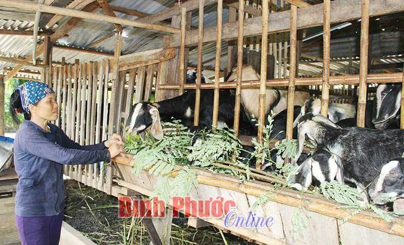 Nhu cầu đào tạo nghề để nông dân chuyển đổi việc làm rất lớn