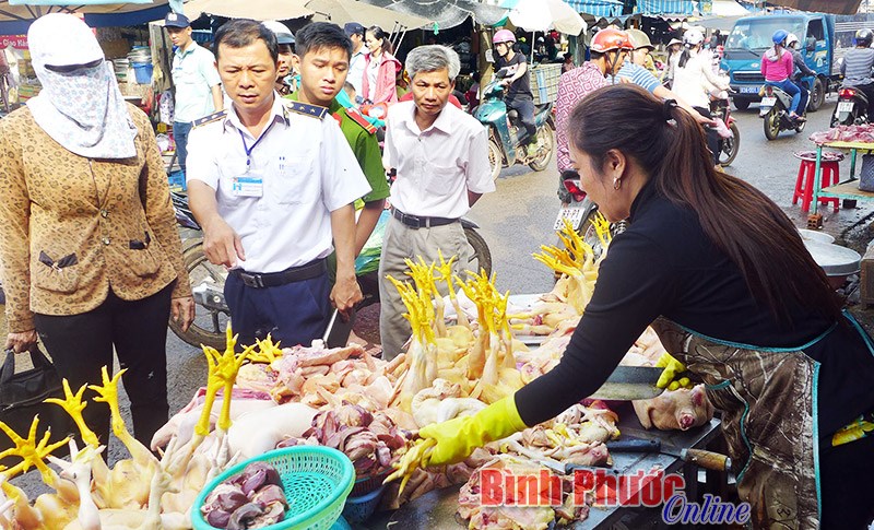 Chủ động phòng chống bệnh, dịch cúm gia cầm  