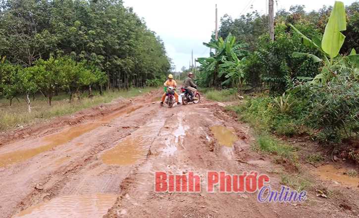 Th&ocirc;ng tin một số vụ việc dư luận quan t&acirc;m