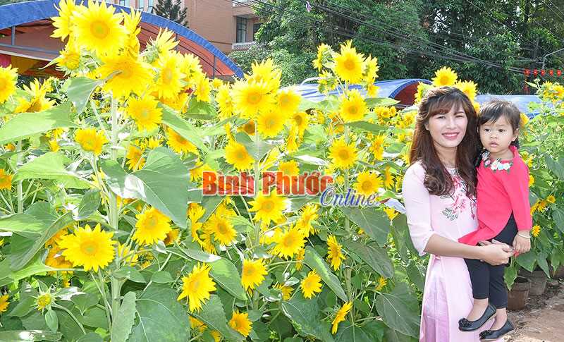 Đem hương xu&acirc;n đến mọi nh&agrave;