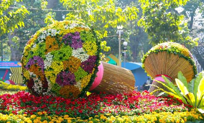 Đồng Xo&agrave;i sẽ tổ chức hội hoa xu&acirc;n Đinh Dậu 2017