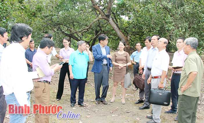 Mưa bất thường, dự báo mùa khô sẽ bớt khốc liệt hơn