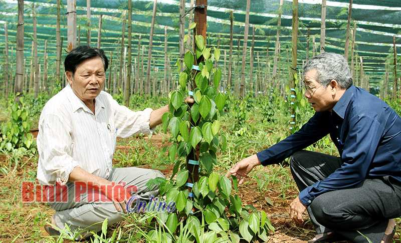 Gia đ&igrave;nh cựu chiến binh mẫu mực