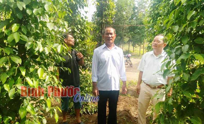 CCB Trần Ngọc Khanh: Học B&aacute;c l&agrave; phải lu&ocirc;n phấn đấu