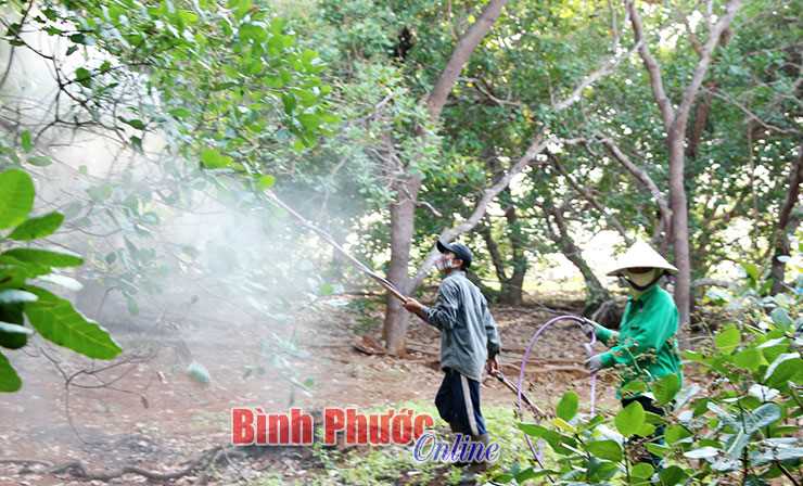 Mưu sinh từ nghề độc hại