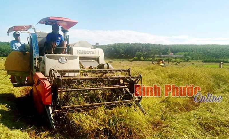 Đồng bào S’tiêng Thiện Hưng đưa cơ giới hóa vào đồng ruộng