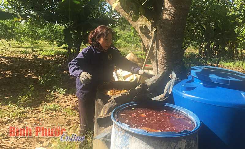 Tự ủ phân bón hướng đến sản xuất nông nghiệp sạch