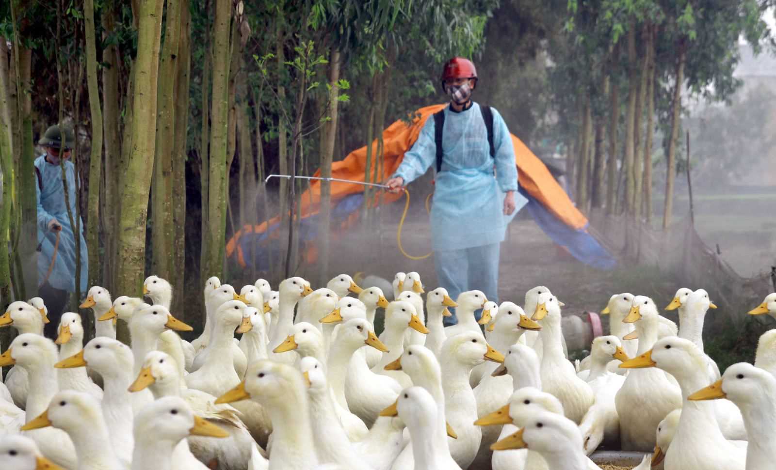 Phòng bệnh hơn chữa bệnh