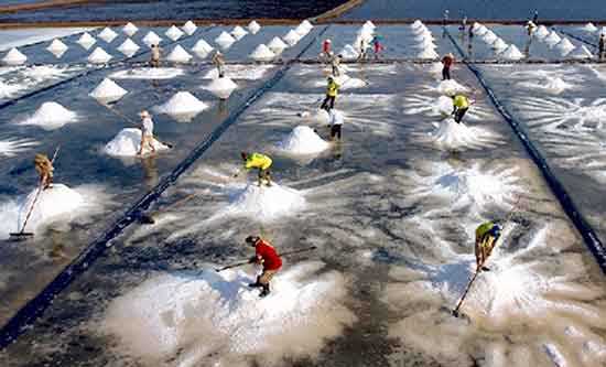 Việt Nam đoạt 7 huy chương v&agrave;ng ảnh quốc tế tại Ấn Độ 