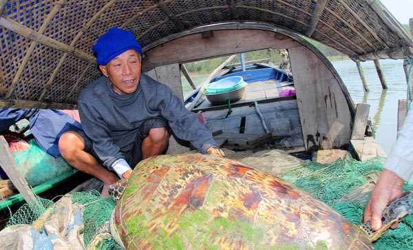 Bắt được rùa nặng gần 50kg trên sông Lam