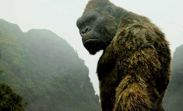 "Kong" thu về 142,6 triệu USD to&agrave;n cầu sau tuần đầu c&ocirc;ng chiếu 