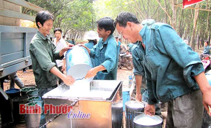 Đảng bộ N&ocirc;ng trường III học B&aacute;c để ph&aacute;t triển to&agrave;n diện