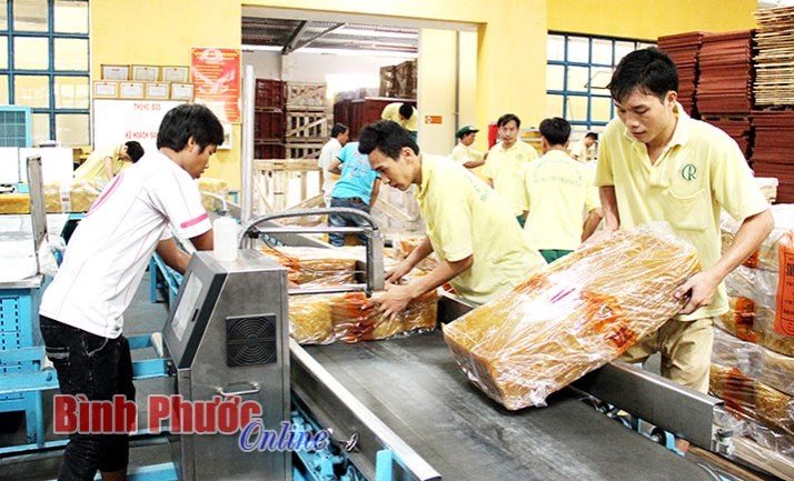 Giá mủ ấm lên, cổ phiếu cao su tăng điểm