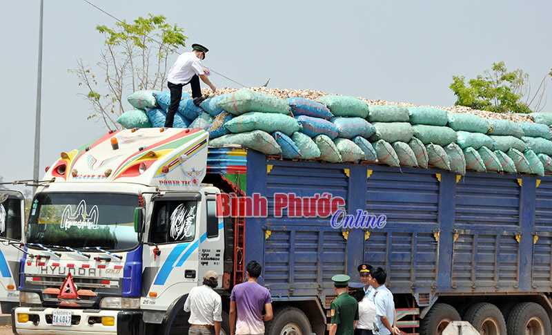Kim ngạch xuất - nhập khẩu qua Cửa khẩu quốc tế Hoa Lư đạt 56,69 triệu USD