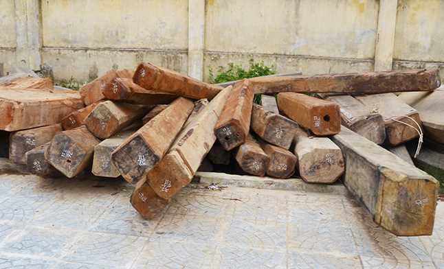 B&ugrave; Đốp: Xử l&yacute; 38 vụ vi phạm l&acirc;m luật