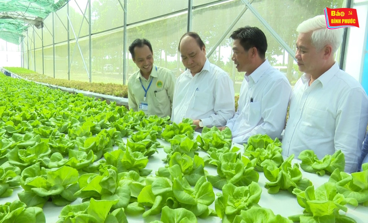 [Video] Thủ tướng Chính phủ Nguyễn Xuân Phúc và đoàn công tác của Trung ương làm việc tại thị xã Đồng Xoài