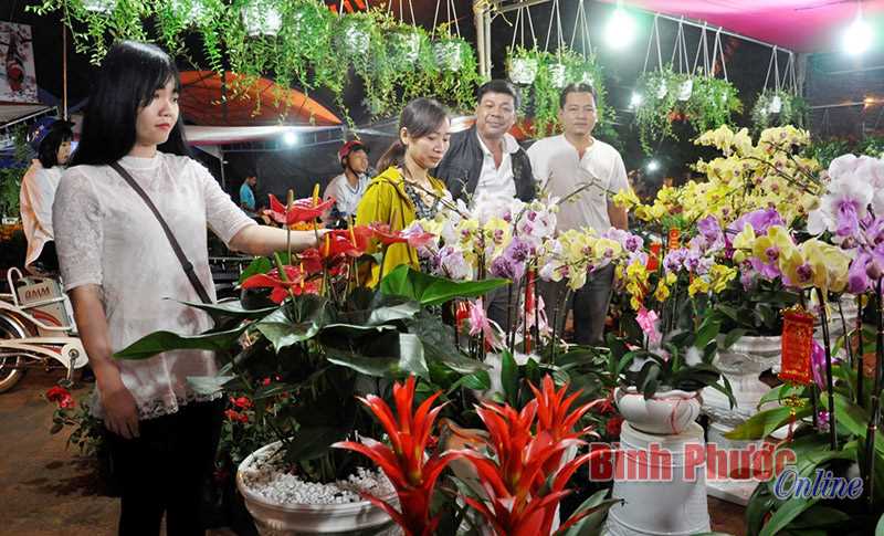 Đồng Xo&agrave;i khai mạc hội chợ hoa xu&acirc;n Đinh Dậu 2017