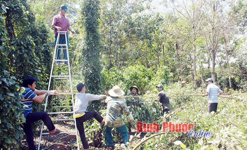 Nghĩa tình sau cơn lốc