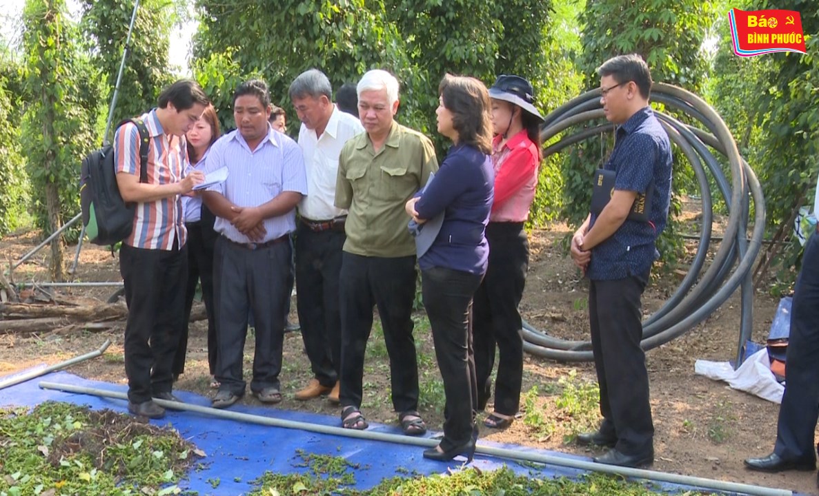 [Video] Không để nông dân đứng lẻ loi một mình