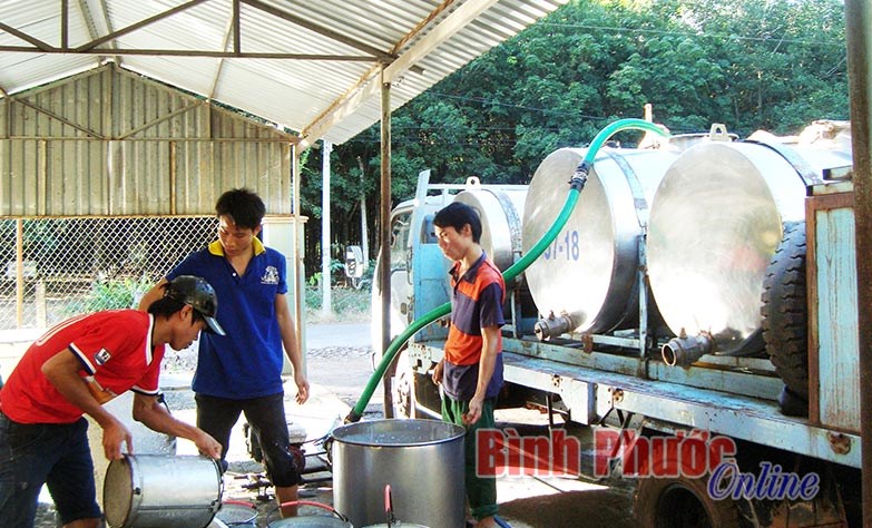 Sắp xếp, cổ phần h&oacute;a DNNN: G&acirc;y thất tho&aacute;t, thua lỗ phải bồi thường v&agrave; chịu tr&aacute;ch nhiệm trước ph&aacute;p luật