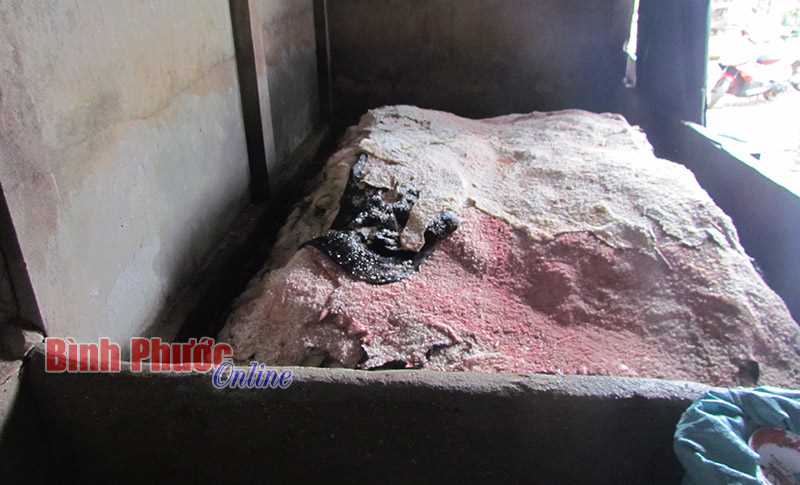 Ph&aacute;t hiện 4 tấn da b&ograve;, tr&acirc;u kh&ocirc;ng r&otilde; nguồn gốc