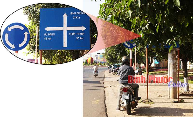 Biển b&aacute;o giao th&ocirc;ng bị che lấp