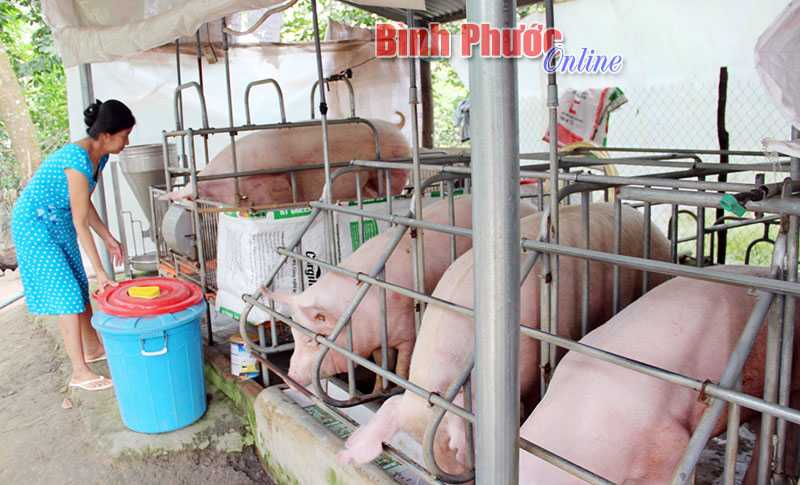 Sacombank Chơn Thành - địa chỉ tin cậy của khách hàng