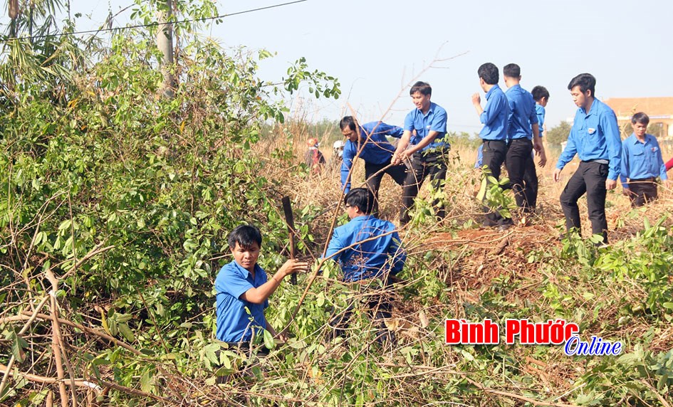 Năm 2017, Đoàn thanh niên Bình Phước tập trung tôn vinh, hỗ trợ tài năng trẻ