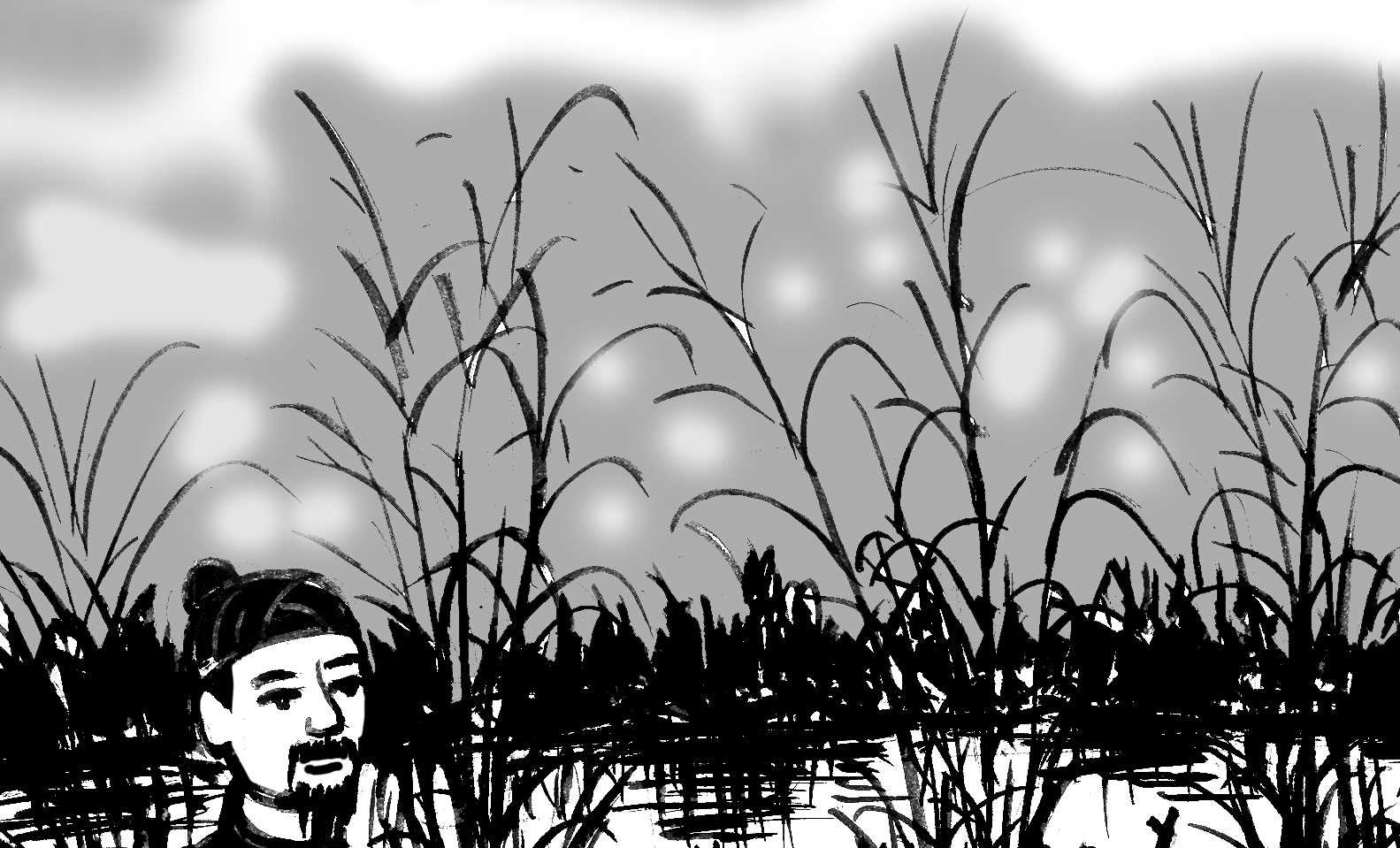 Thủ lĩnh Bãi Sậy