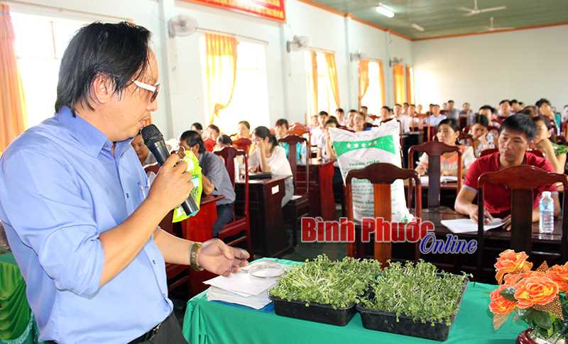 Tập huấn kỹ thuật trồng rau sạch theo mô hình đô thị