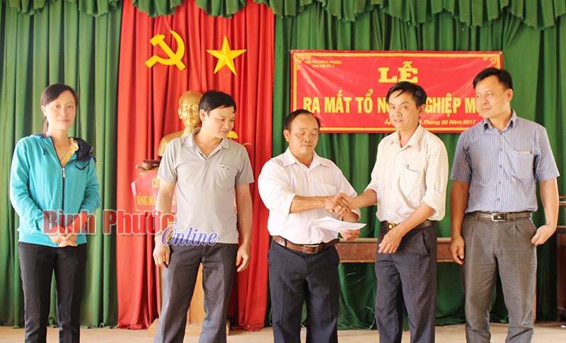 Thành lập Tổ hội nghề mộc, gia công đồ gỗ Hưng Phước