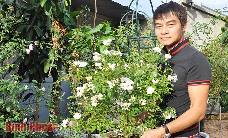 Thế giới hồng ở Bình Long